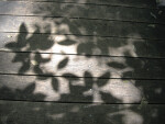 Shadows on Boardwalk