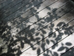 Shadows on Boardwalk