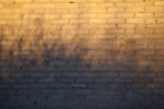 Shadows on the Brick Wall