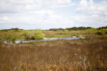 Shark Valley of Everglades National Park