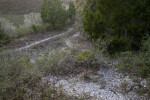 Shell Mound Archaeological Site