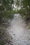 Shell Trail