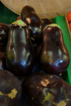 Shiny, Dark Purple Eggplant