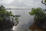 Shore of Bear Lake