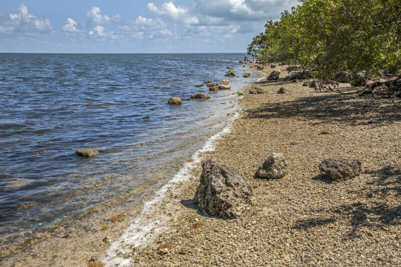 Shoreline at Biscayne National Park