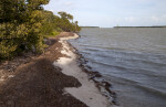 Shoreline at the Flamingo Campgrounds of Everglades National Park