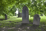 Shouldered Tablet Headstones in the Shade