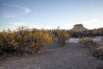 Shrubs and Cerro Castellan