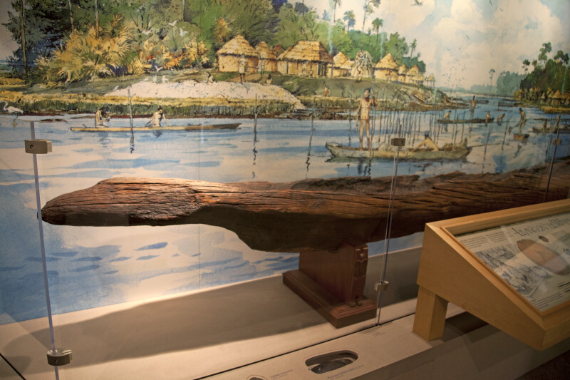 Side of a Dugout Canoe on Display at the Timucuan Preserve Visitor Center of Fort Caroline National Memorial