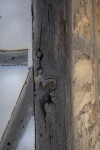 Side of a Wooden Board Supporting Wall of the Schumacher House at the San Antonio Botanical Garden