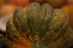 Side View of Carnival Squash