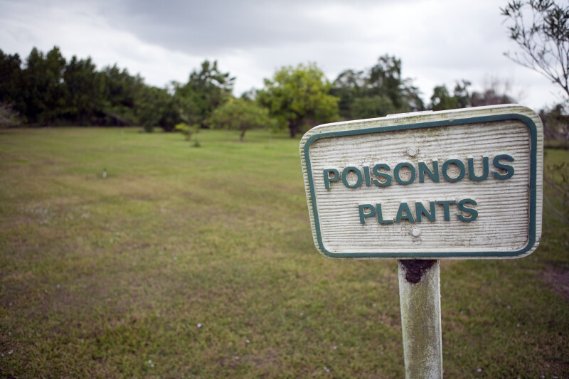 Sign for Poisonous Plants