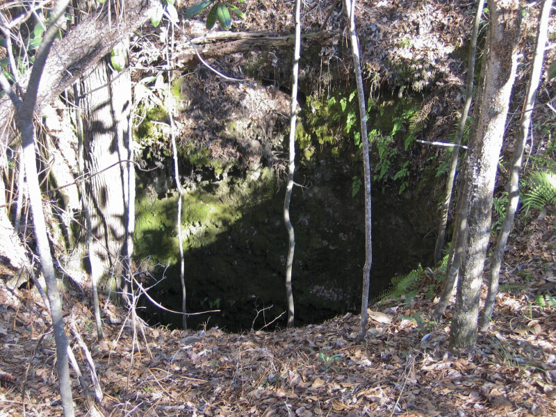 Sinkhole at Falling Waters State Park