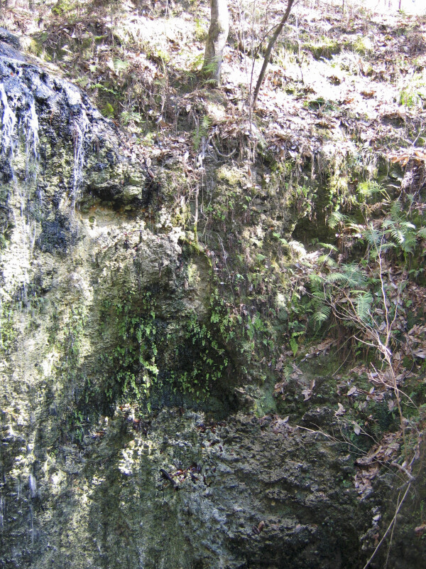Sinkhole Wall