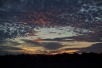 Sky Above Kirby Storter Park of Big Cypress National Preserve at Sunset