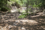 Sloping Ground of a Sinkhole