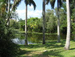 Slough at the Bonnet House