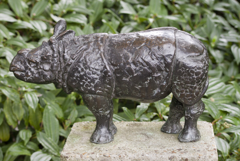 Small Rhinoceros Bronze on Display at the Artis Royal Zoo
