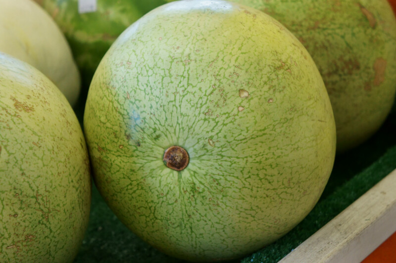 Small, Seedless Watermelon