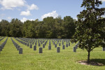 Small Tree and Tombstones