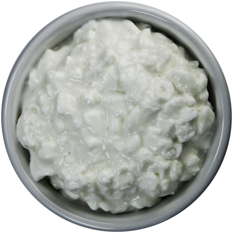 Small White Bowl Filled with Cottage Cheese