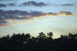 Snake Bight Trail Sunset