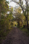 Snake Bight Trail