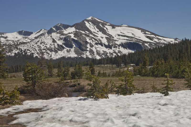 Snow on the Meadow and Snow on the Mountain