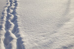 Snow Path