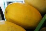 Spaghetti Squash Close-Up