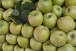 Stacked Green Apples Close-Up