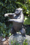 Standing Gorilla