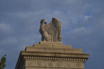 Stone Eagle from Side