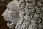 Stone Lion Detail