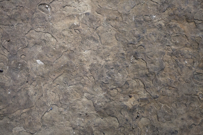Stone Texture 1