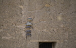 Stones Set in Adobe at Castolon