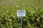 Stormwater Treatment Pond Sign