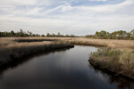 Straight On View of Winding Creek