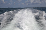 Stream of Water Formed Behind a Motorboat