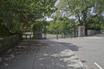 Street at The Arnold Arboretum of Harvard University