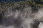 Sunlight Streaming through Water Vapor above the Tuolumne River