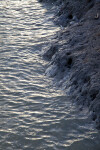 Sunlit Water Along the Shoreline at the Florida Campgrounds of Everglades National Park