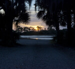 Sunset at Cedar Key Scrub State Reserve