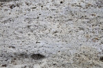 Surface of a Porous Rock at Colt Creek State Park