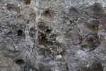 Surface of a Porous Rock