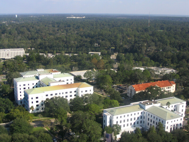 Tallahassee from Observation Deck