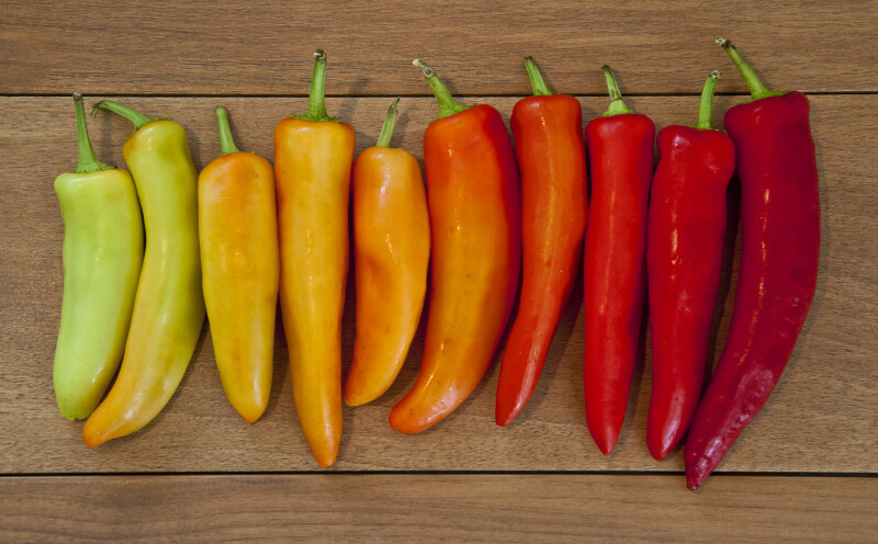 Ten Peppers Displaying a Color Spectrum