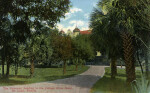 The Driveway Leading to the College Arms Hotel in DeLand, Florida