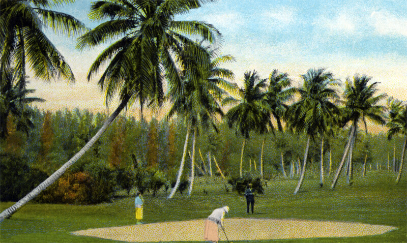 The Fourth Green at the Royal Poinciana Golf Links