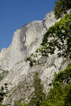 The North Face of Half Dome